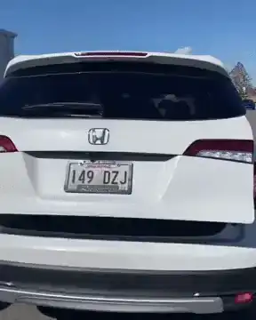 Honda Meme GIF - Find & Share on GIPHY